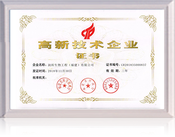 高新技术企业证书