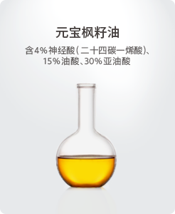 澳门精准特马
